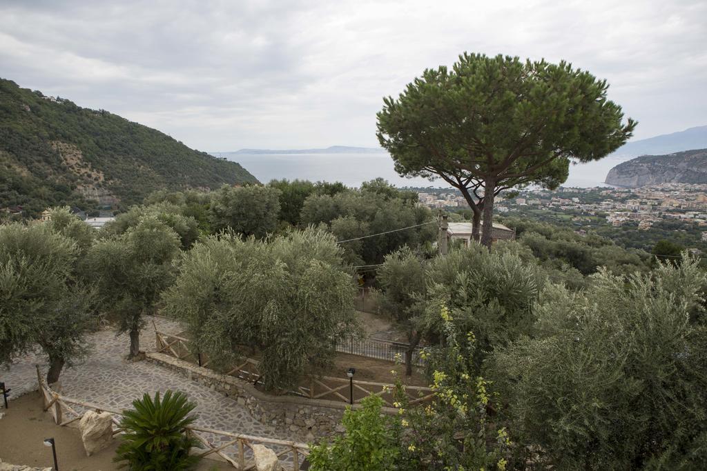 Appartamento Villa Degli Ulivi Sant'Agnello Phòng bức ảnh
