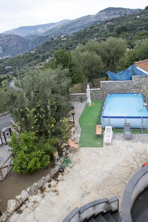 Appartamento Villa Degli Ulivi Sant'Agnello Phòng bức ảnh