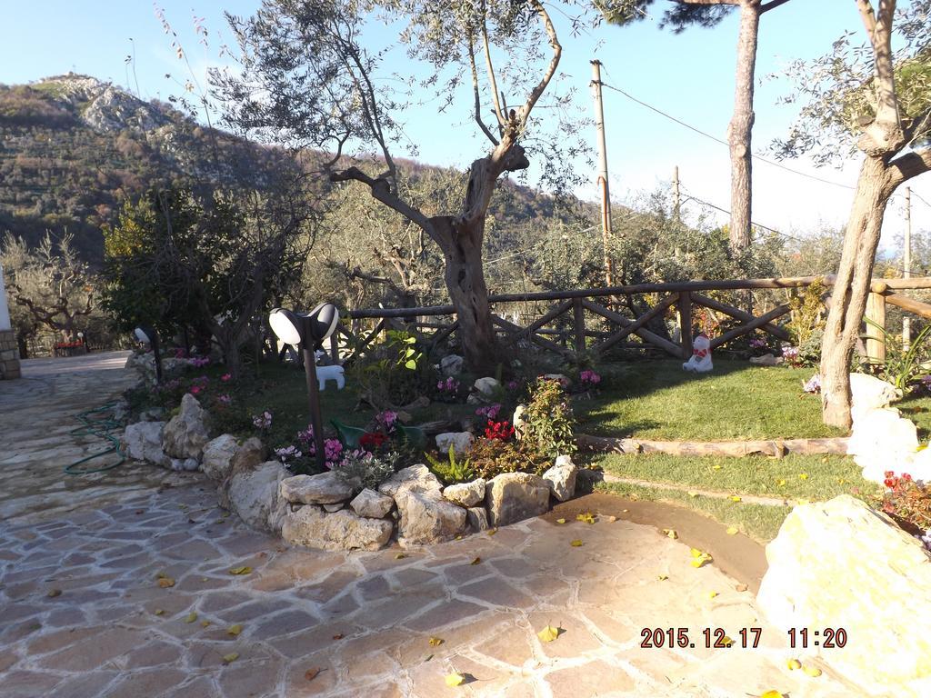 Appartamento Villa Degli Ulivi Sant'Agnello Ngoại thất bức ảnh